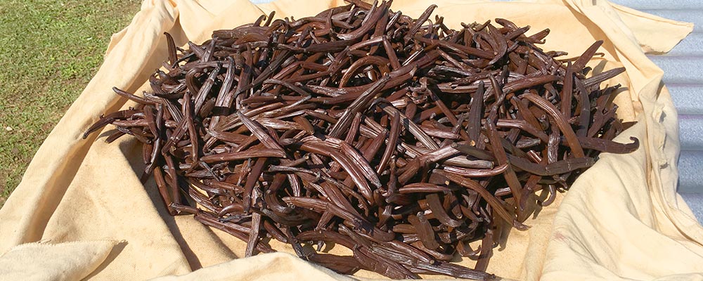 Huahine's Vanilla