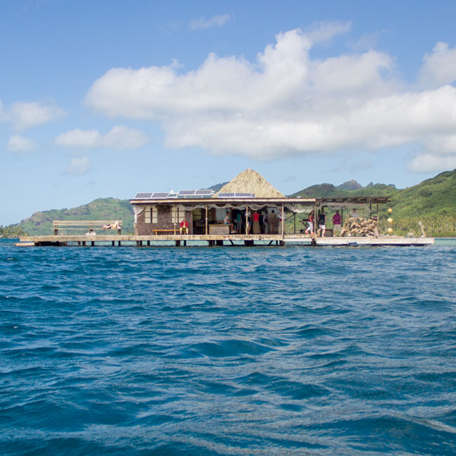 Visiter la Ferme perlière à Huahine