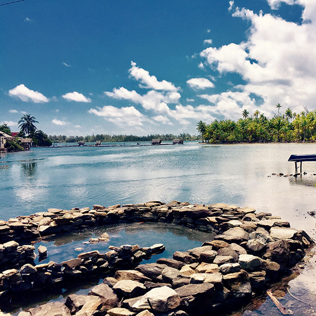 Fish traps