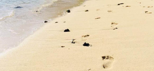 Découvrez les plages secrètes de Huahine