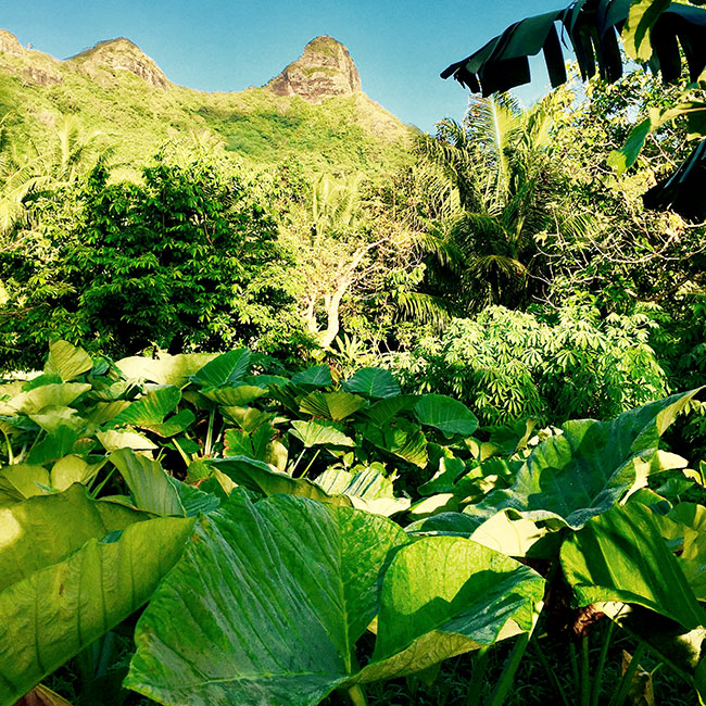 green tour huahine