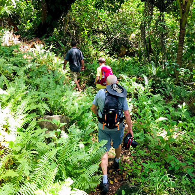 Huahine Private excursion